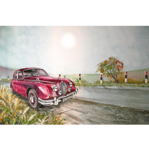 Ρολοκουρτίνα με εκτύπωση 46-CR