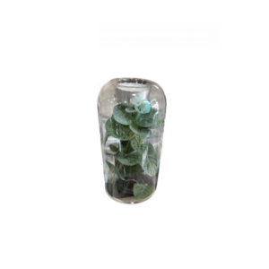 Γυάλινο κηροπήγιο τύπου Terrarium